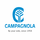 Portuguese Technical Translation