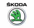 Website localization, online training materials (Skoda Customer Process Online) Translation • Legal Portuguese Translator