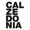 Legal Translation for Calzedonia/Atelier Emé